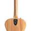 Fender Highway Parlor Rosewood Fingerboard Spruce (Ex-Demo) #MXA2304126 