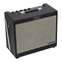 Fender Tone Master FR-10 Guitar Cabinet Front View