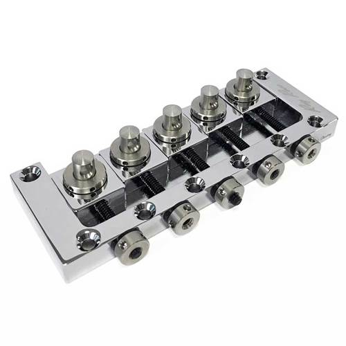 Floyd Rose FRRB519C Ray Ross Saddle-Less 5-String Bass Bridge 19mm Chrome Floyd Rose FRRB519C Ray Ross Saddle-Less 5-String Bass Bridge 19mm Chrome
