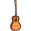 Vintage Statesboro Paul Brett 12 String Acoustic Satin Antique Burst Front View