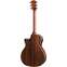 Taylor 814ce Grand Auditorium Blacktop Special Edition Back View