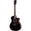 Taylor 814ce Grand Auditorium Blacktop Special Edition Front View