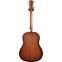 Taylor 517e Grand Pacific Urban Ironbark/Torrefied Sitka Back View