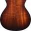 Taylor 222ce-K Deluxe Grand Concert #2205193128 