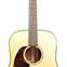 Martin Custom Shop Dreadnought Adirondack Spruce / Sinker Mahogany Left Handed #2734682