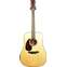 Martin Custom Shop Dreadnought Adirondack Spruce / Sinker Mahogany Left Handed #2734682 Front View