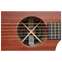 Martin Road Series SC-10E Sapele Front View
