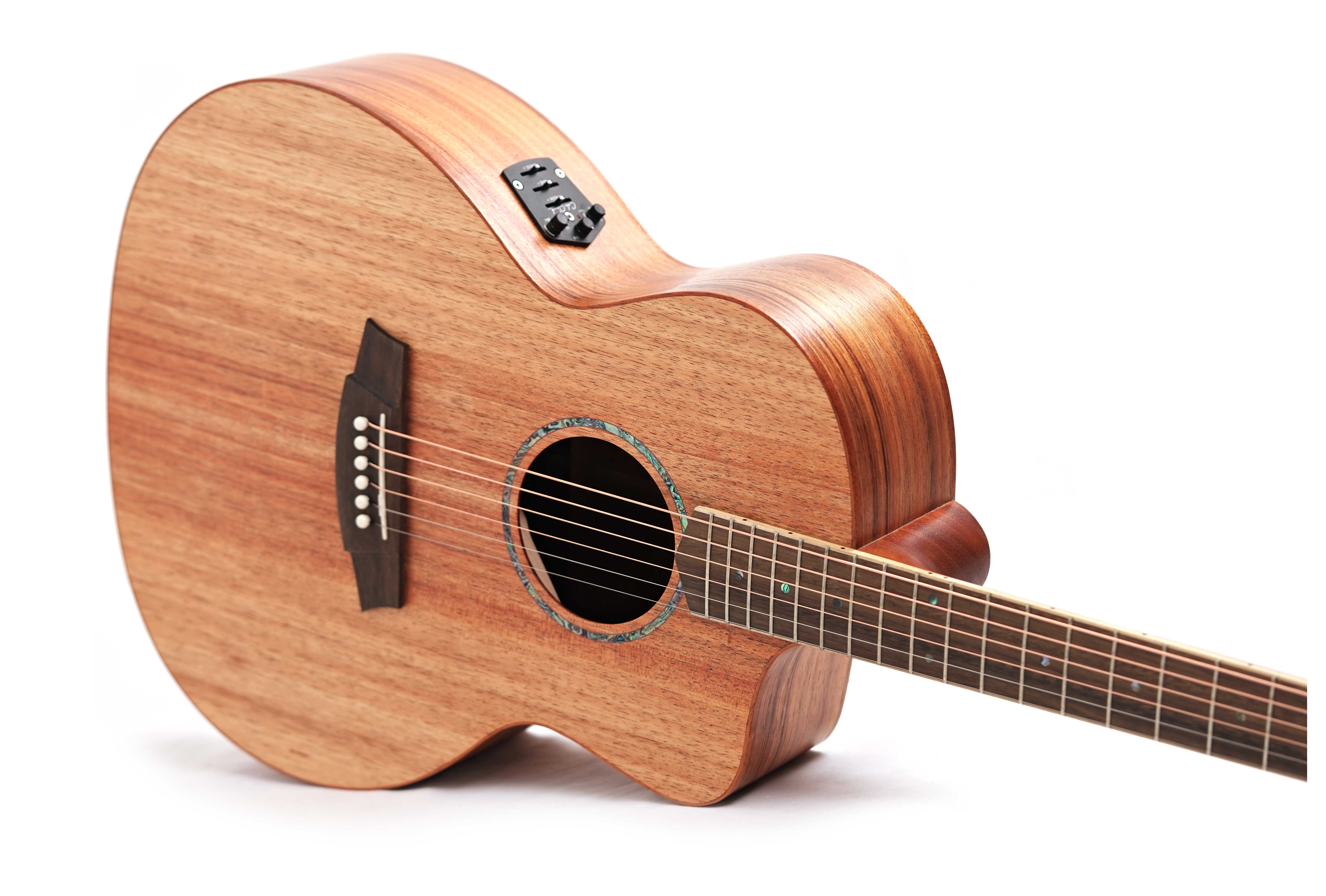 Cole Clark Studio GA All Blackwood (Ex-Demo) #2403-129