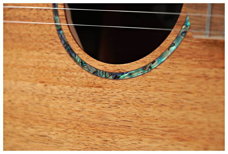 Cole Clark Studio GA All Blackwood #2408-501 Cole Clark Studio GA All Blackwood #2408-501