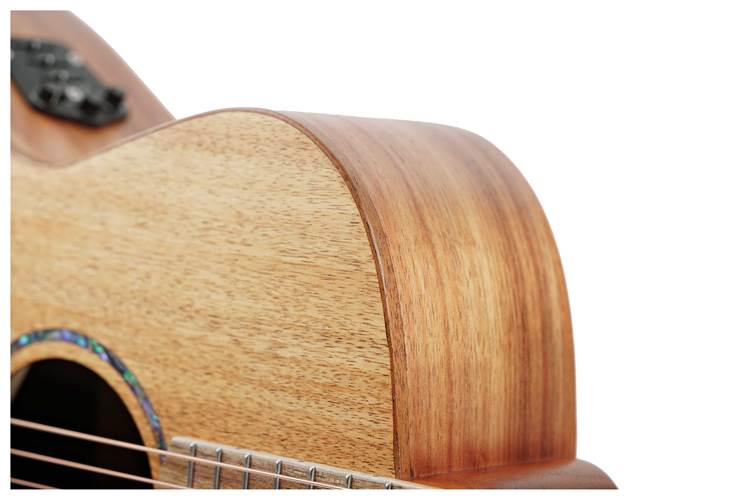 Cole Clark Studio GA All Blackwood #2408-501 Cole Clark Studio GA All Blackwood #2408-501