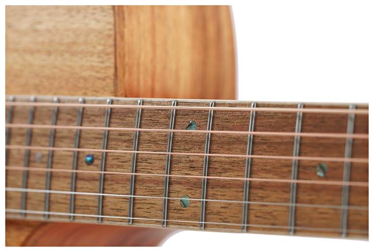 Cole Clark Studio GA All Blackwood #2408-501 Cole Clark Studio GA All Blackwood #2408-501