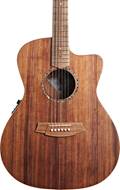 Cole Clark Studio GA All Blackwood #2506-1179