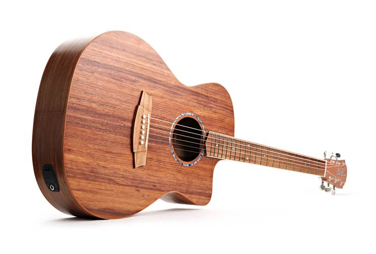 Cole Clark Studio GA All Blackwood #2506-1179 Cole Clark Studio GA All Blackwood #2506-1179