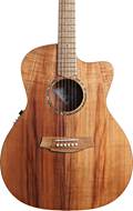 Cole Clark Studio GA All Blackwood #2506-1177