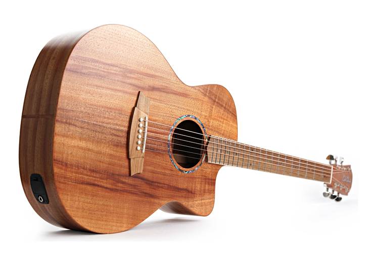 Cole Clark Studio GA All Blackwood #2506-1177 Cole Clark Studio GA All Blackwood #2506-1177
