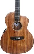 Cole Clark Studio GA All Blackwood