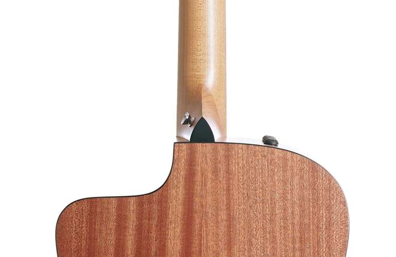 Taylor 110ce-S Sapele Taylor 110ce-S Sapele