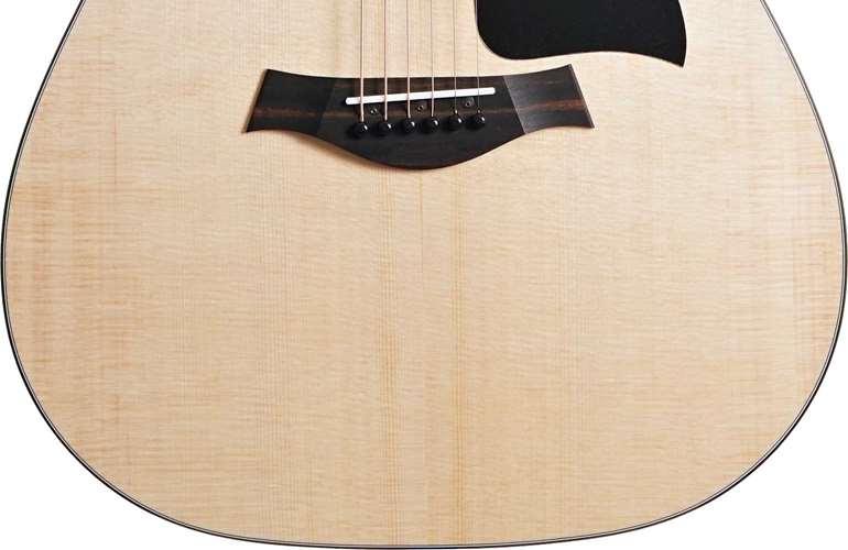 Taylor 110ce-S Sapele Taylor 110ce-S Sapele