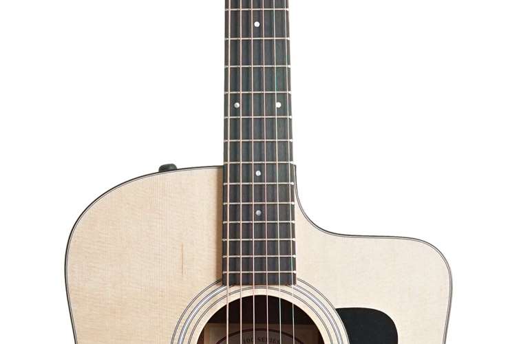 Taylor 110ce-S Sapele Taylor 110ce-S Sapele