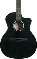 Taylor Select Dealer Exclusive 214ce-N Deluxe Black (Ex-Demo) #2205183127