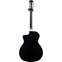 Taylor Select Dealer Exclusive 214ce-N Deluxe Grand Auditorium Black Back View