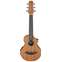 Ibanez EWP12EWB AEW Picollo Electro Acoustic Open Pore Natural Front View