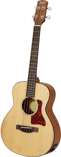 Adam Black O-2 TBE Mkii Travel Bass Adam Black O-2 TBE Mkii Travel Bass