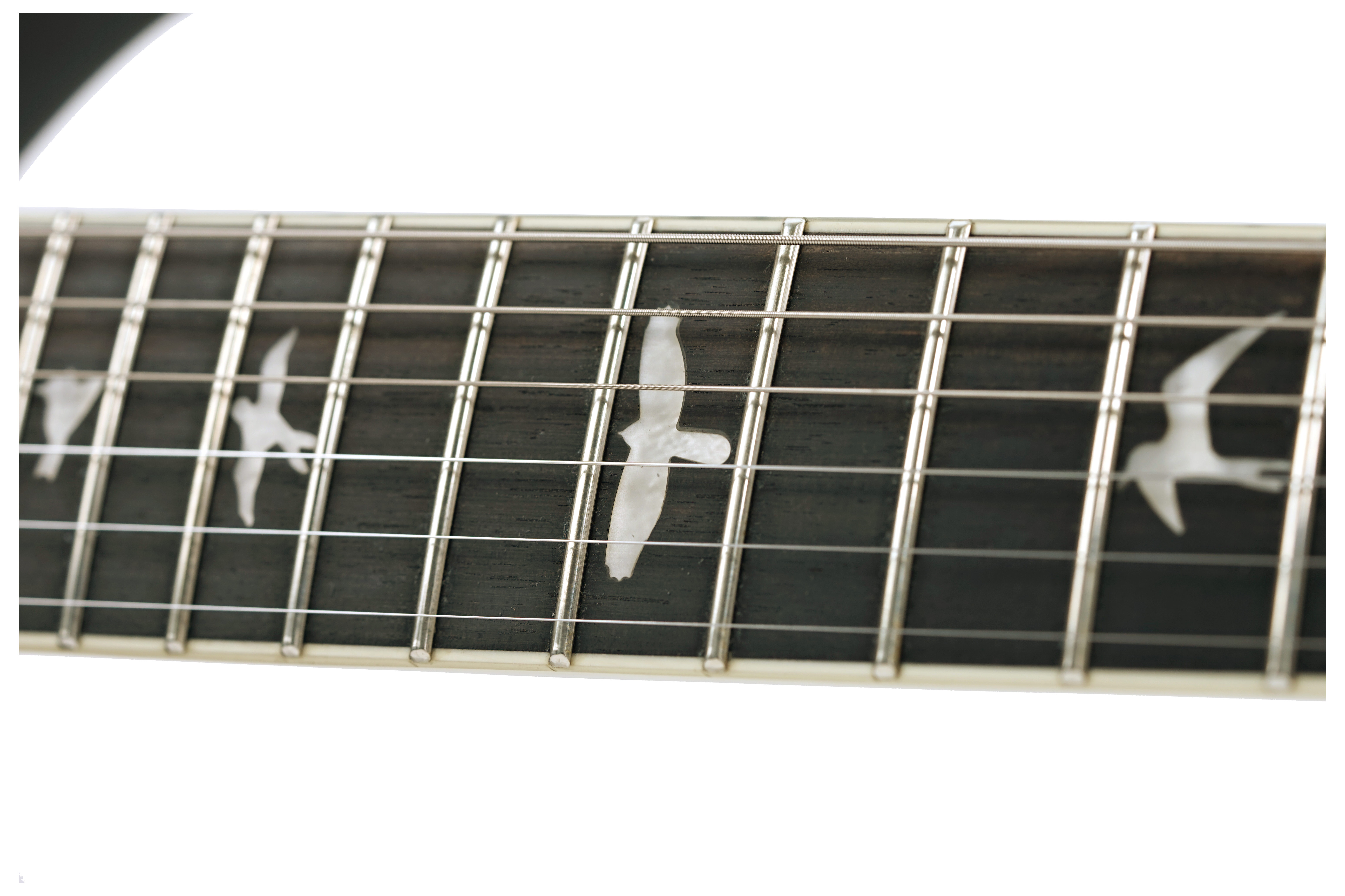 PRS SE Custom 24 Quilt Violet