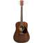 Martin D19 190th Anniversary  Front View