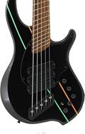 Dingwall John Taylor 5 String Black