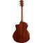 Taylor 224ce Plus Special Edition Mahogany Grand Auditorium Back View