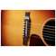 Gibson J-45 Standard Rosewood Rosewood Burst Front View