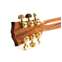 Gibson J-45 Standard Rosewood Rosewood Burst Front View
