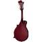 Epiphone F-5 Studio Wine Red Satin Back View