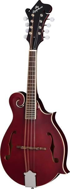 Epiphone F-5 Studio Wine Red Satin