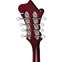 Epiphone F-5 Studio Wine Red Satin Front View