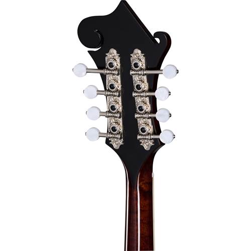 Epiphone F-5G Cremona Sunburst Epiphone F-5G Cremona Sunburst