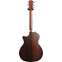 Taylor Special Edition 314ce Grand Auditorium Indian Rosewood Back View