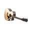 Taylor Special Edition 314ce Grand Auditorium Indian Rosewood Front View