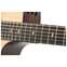 Taylor Special Edition 314ce Grand Auditorium Indian Rosewood Front View