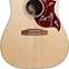 Gibson Hummingbird Studio Walnut Satin Natural