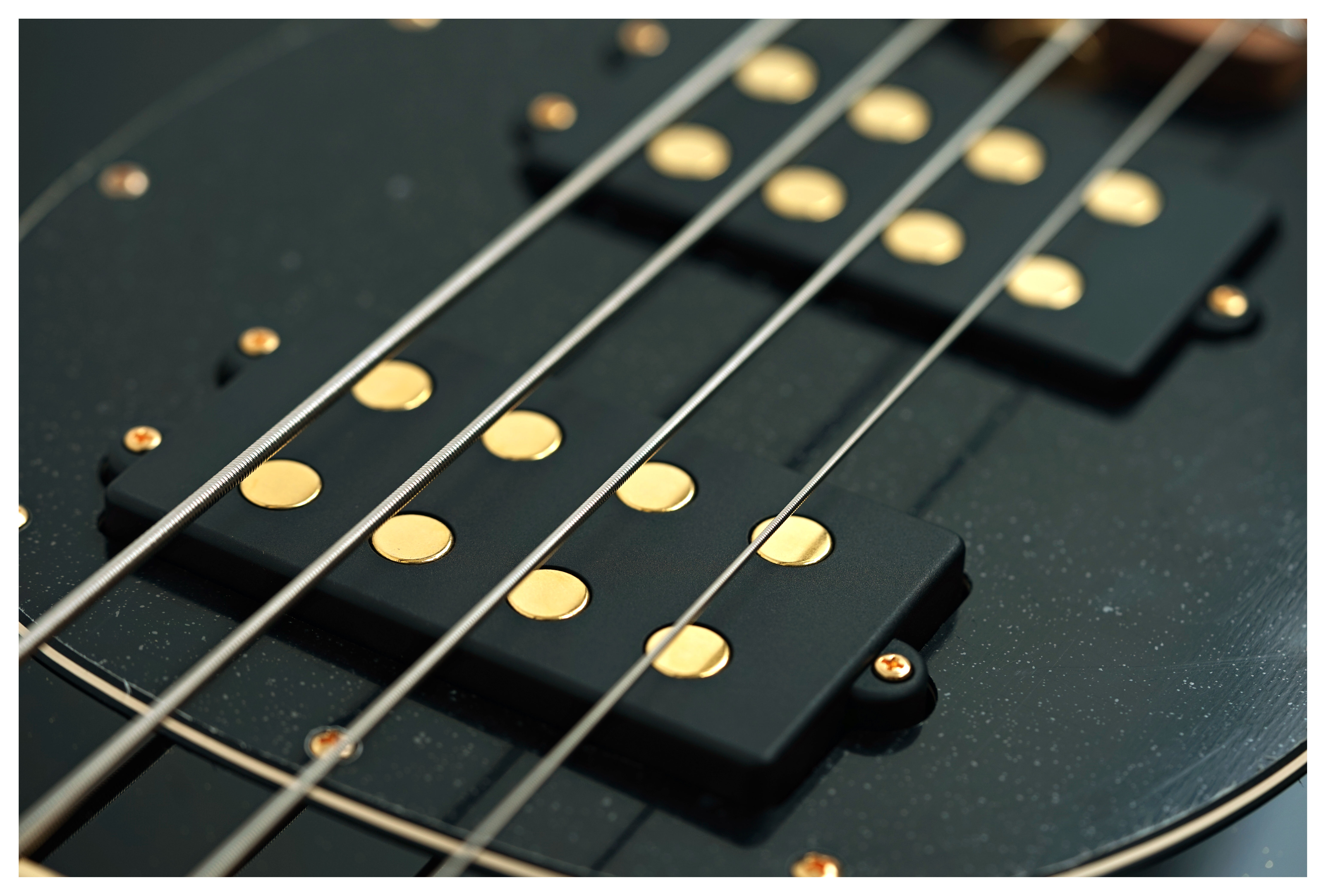 Music Man Stingray Special 4 HH Jackpot Maple Fingerboard #K10436