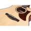 Ibanez AAM50CE Open Pore Natural Front View