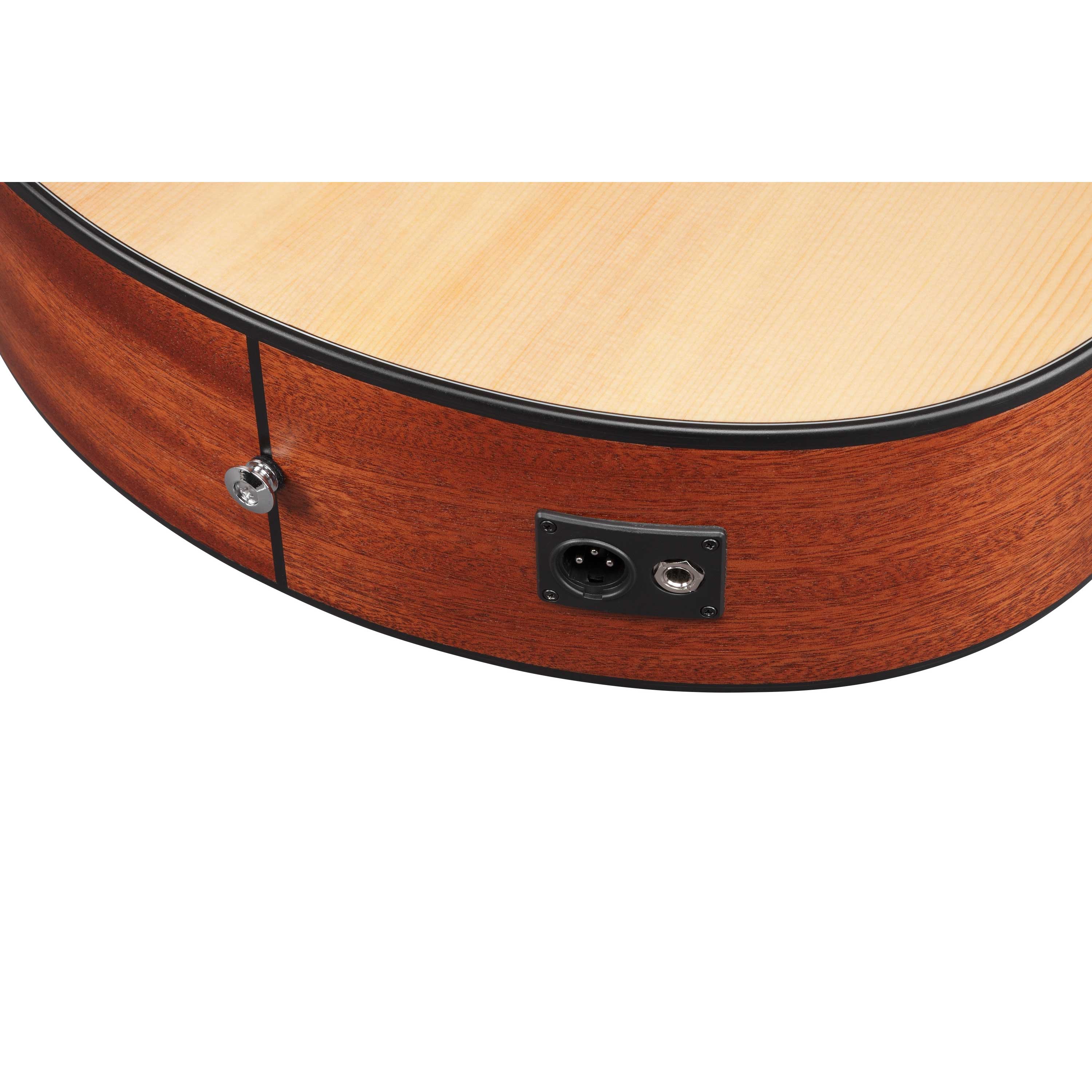 Ibanez AAM50CE Open Pore Natural