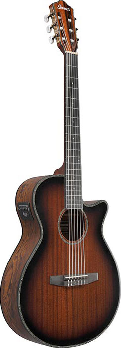 Ibanez AEG74N Mahogany Sunburst High Gloss
