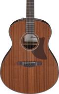 Ibanez AAM54 Open Pore Natural