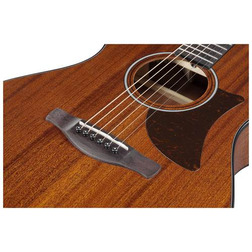 Ibanez AAM54 Open Pore Natural Ibanez AAM54 Open Pore Natural