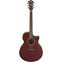 Ibanez AE100 Burgundy Flat Front View