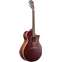Ibanez AE100 Burgundy Flat Front View