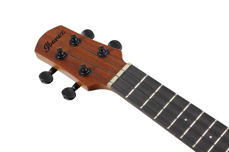 Ibanez AUC10E Open Pore Natural Concert Ukulele Ibanez AUC10E Open Pore Natural Concert Ukulele
